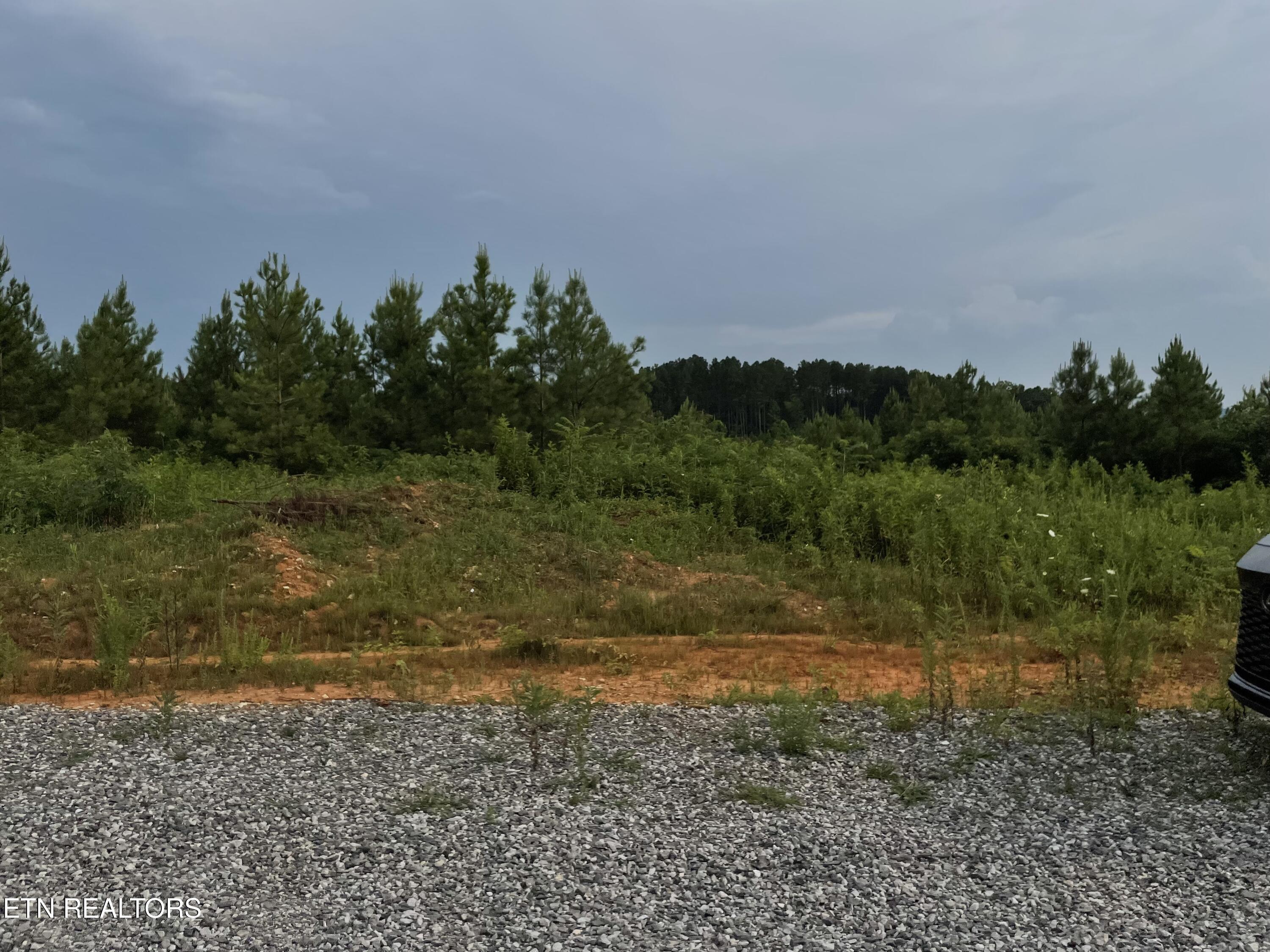 Lot 51 Three Point Rd, Vonore, TN - Fort Loudoun and Tellico Lake Real Estate - Image# 2