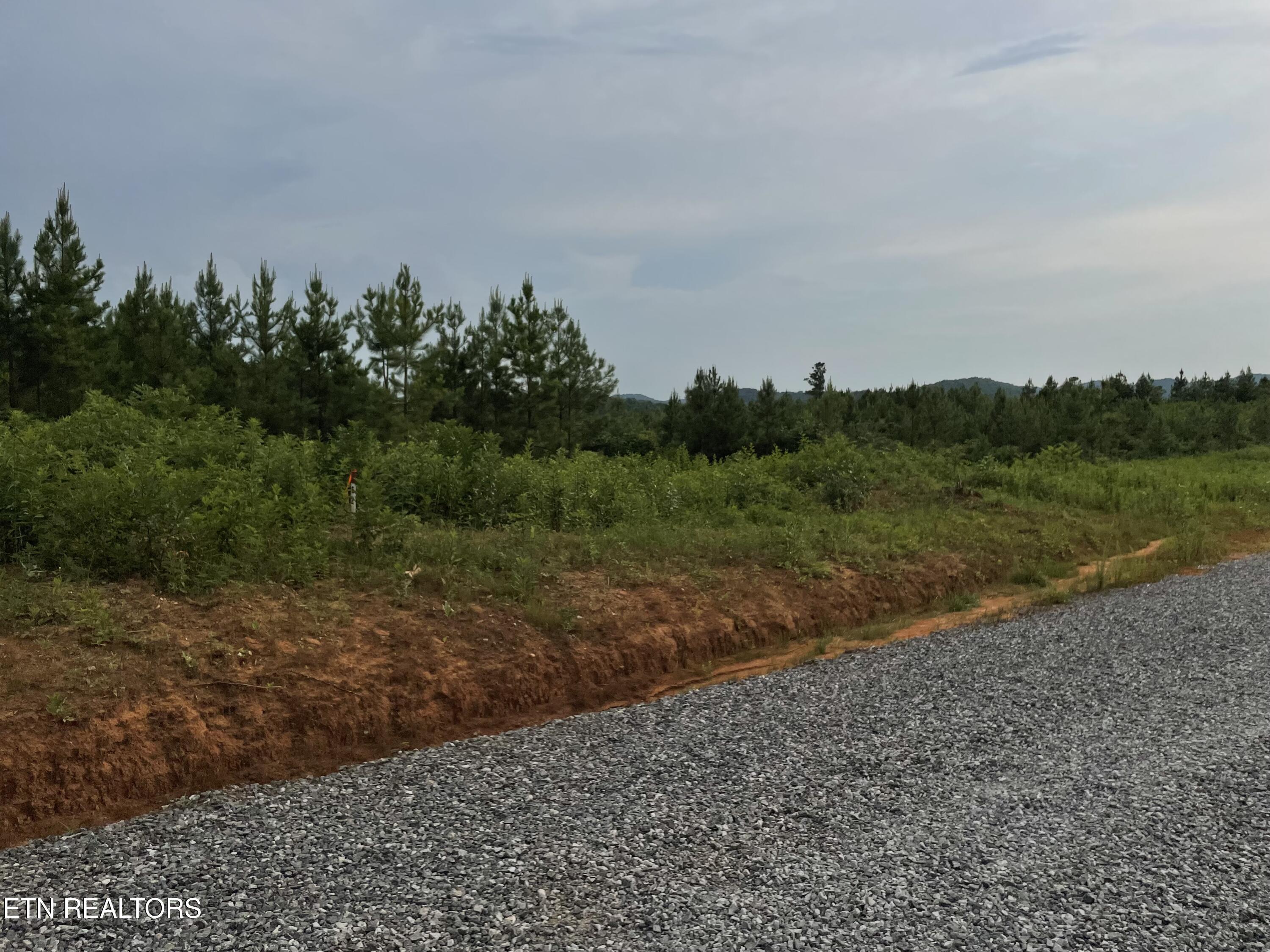 Lot 51 Three Point Rd, Vonore, TN - Fort Loudoun and Tellico Lake Real Estate - Image# 3