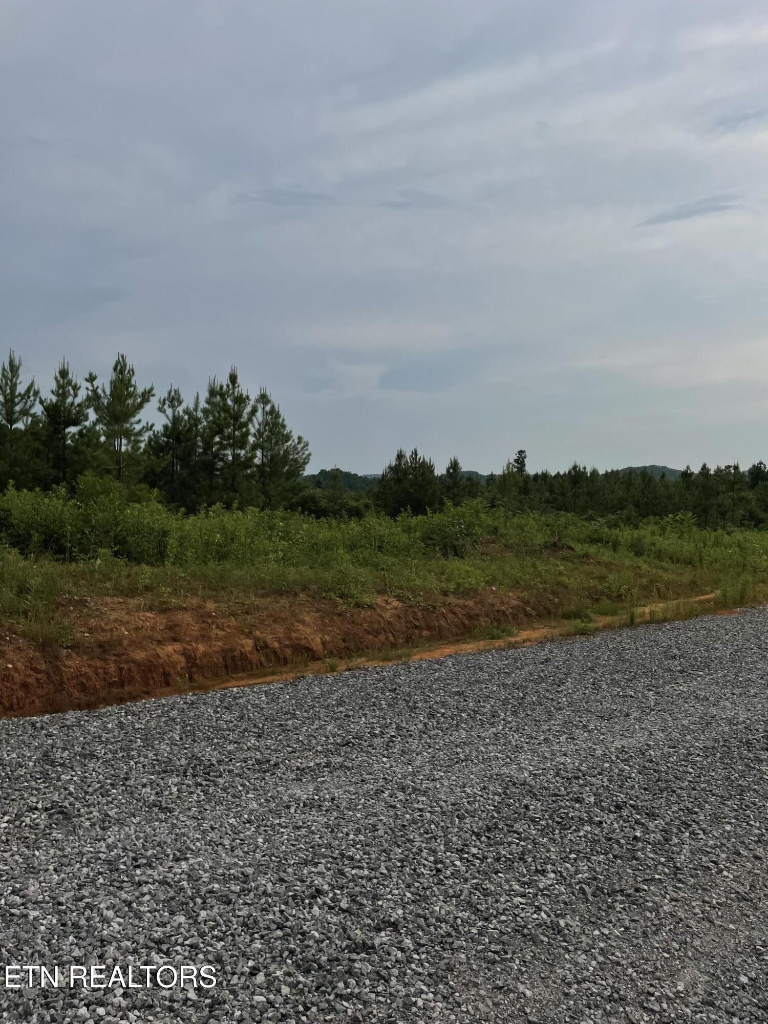 Lot 51 Three Point Rd, Vonore, TN - Fort Loudoun and Tellico Lake Real Estate - Image# 4