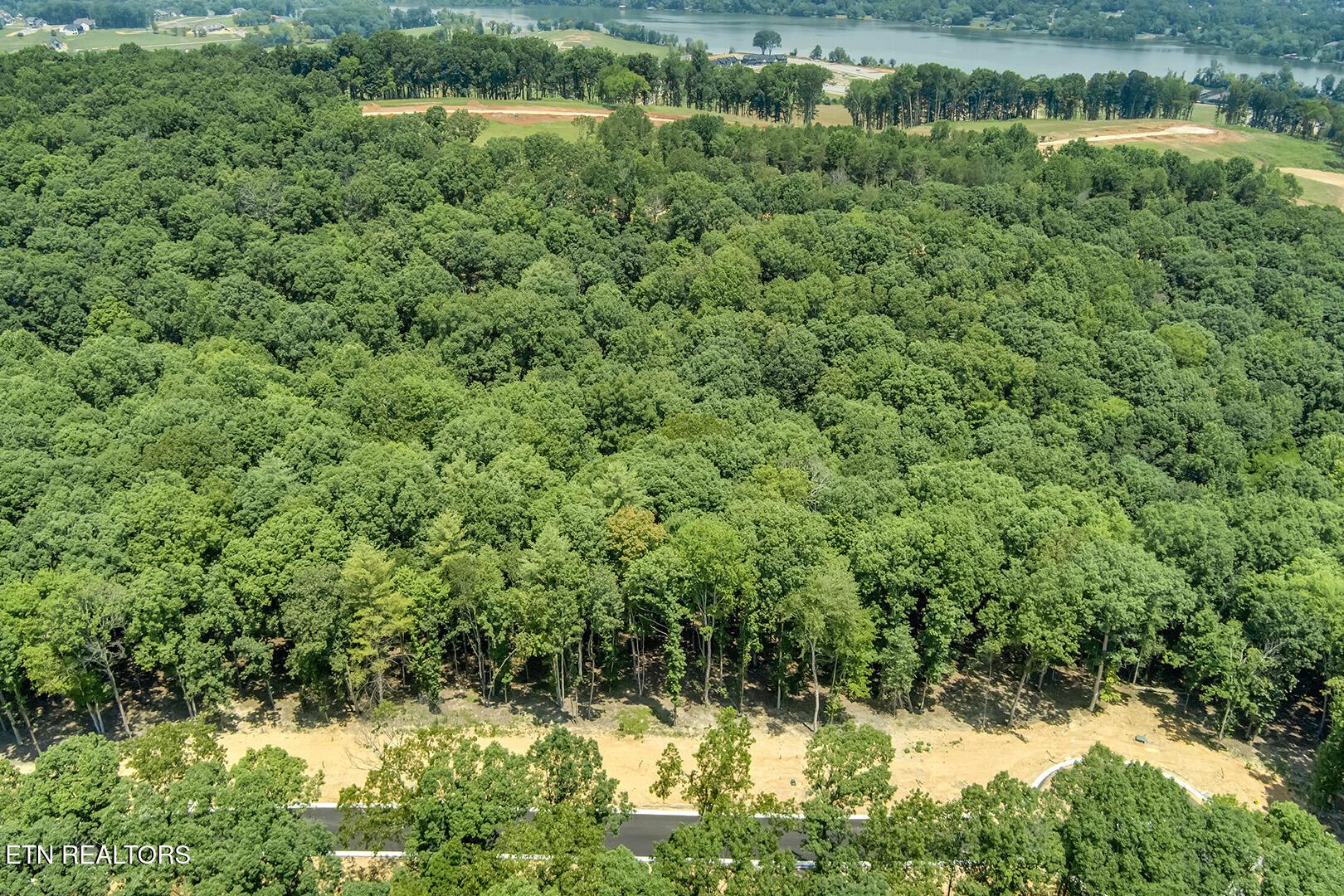 325 Flip Flop Way, Loudon, TN - Fort Loudoun and Tellico Lake Real Estate - Image# 1