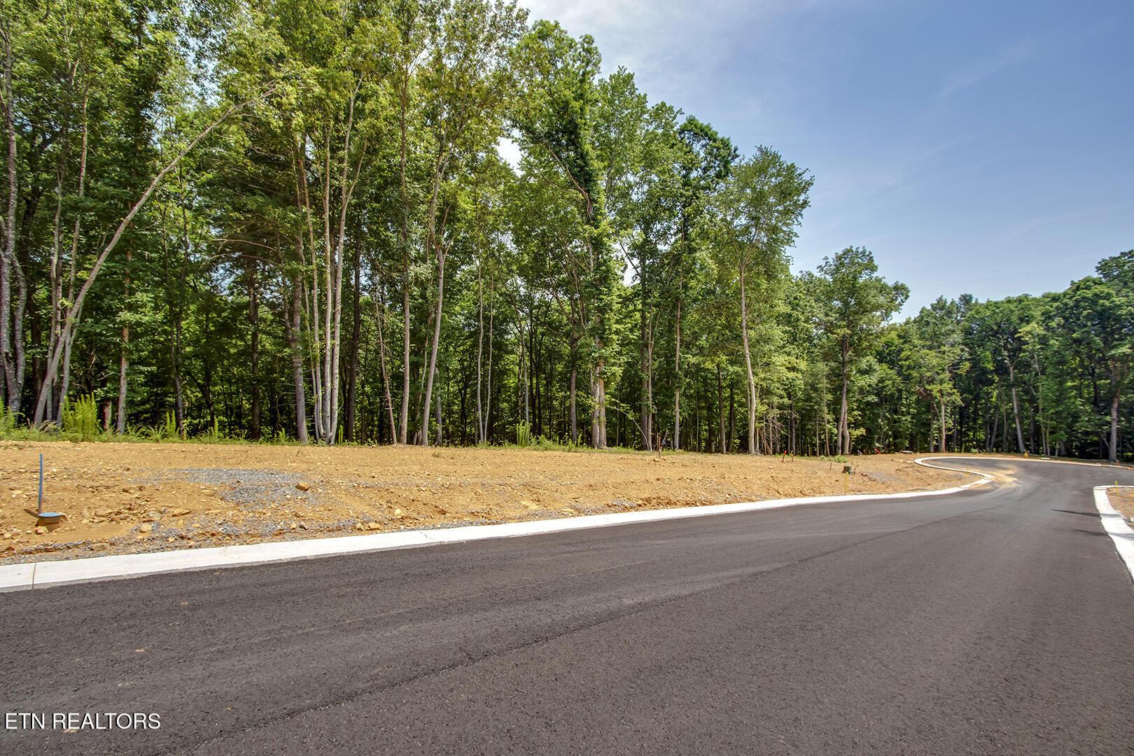 325 Flip Flop Way, Loudon, TN - Fort Loudoun and Tellico Lake Real Estate - Image# 4