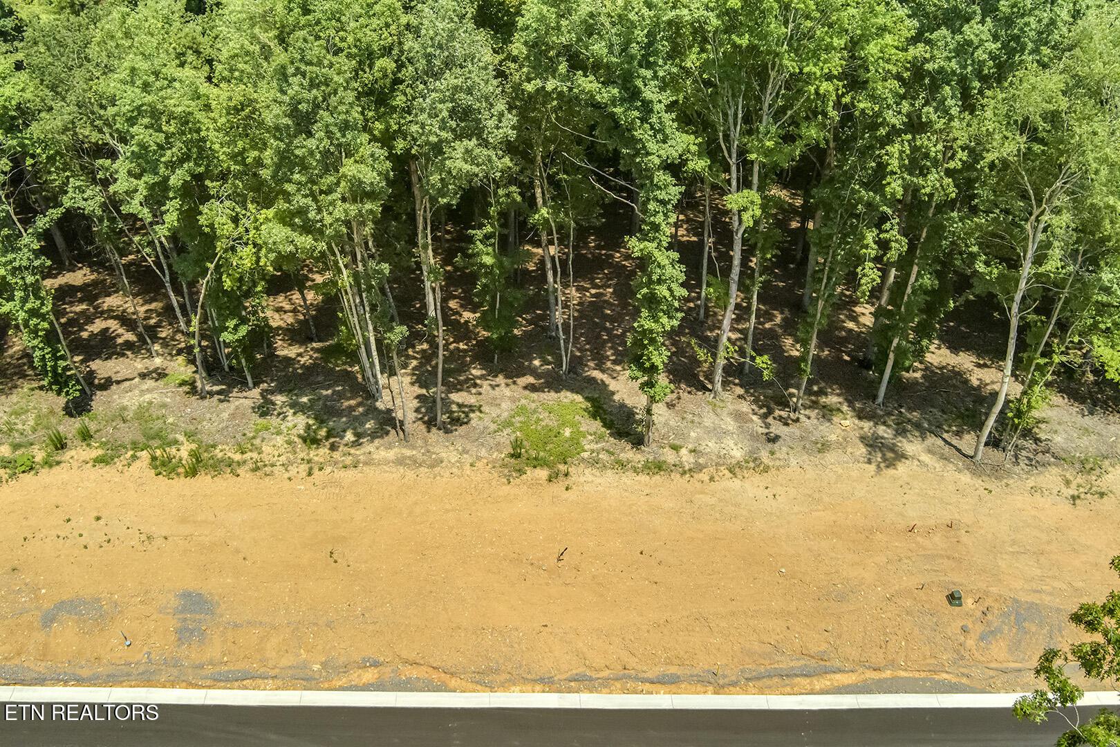 325 Flip Flop Way, Loudon, TN - Fort Loudoun and Tellico Lake Real Estate - Image# 7