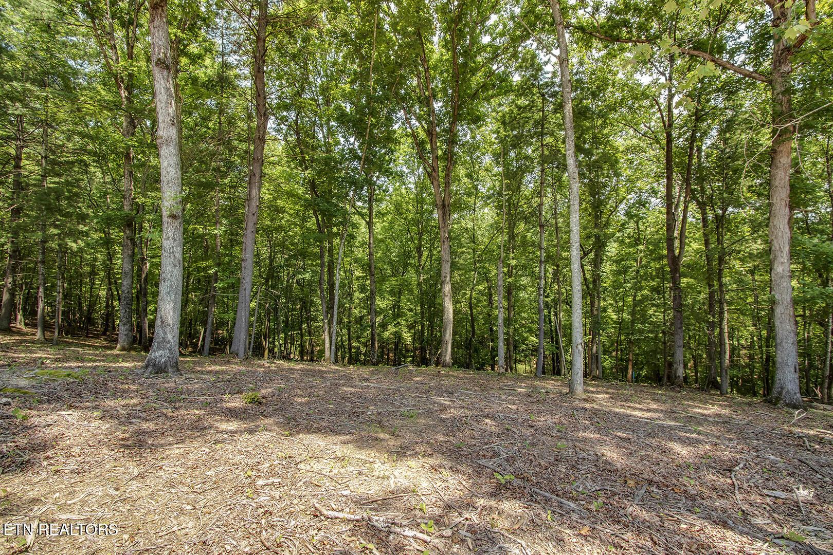 325 Flip Flop Way, Loudon, TN - Fort Loudoun and Tellico Lake Real Estate - Image# 8