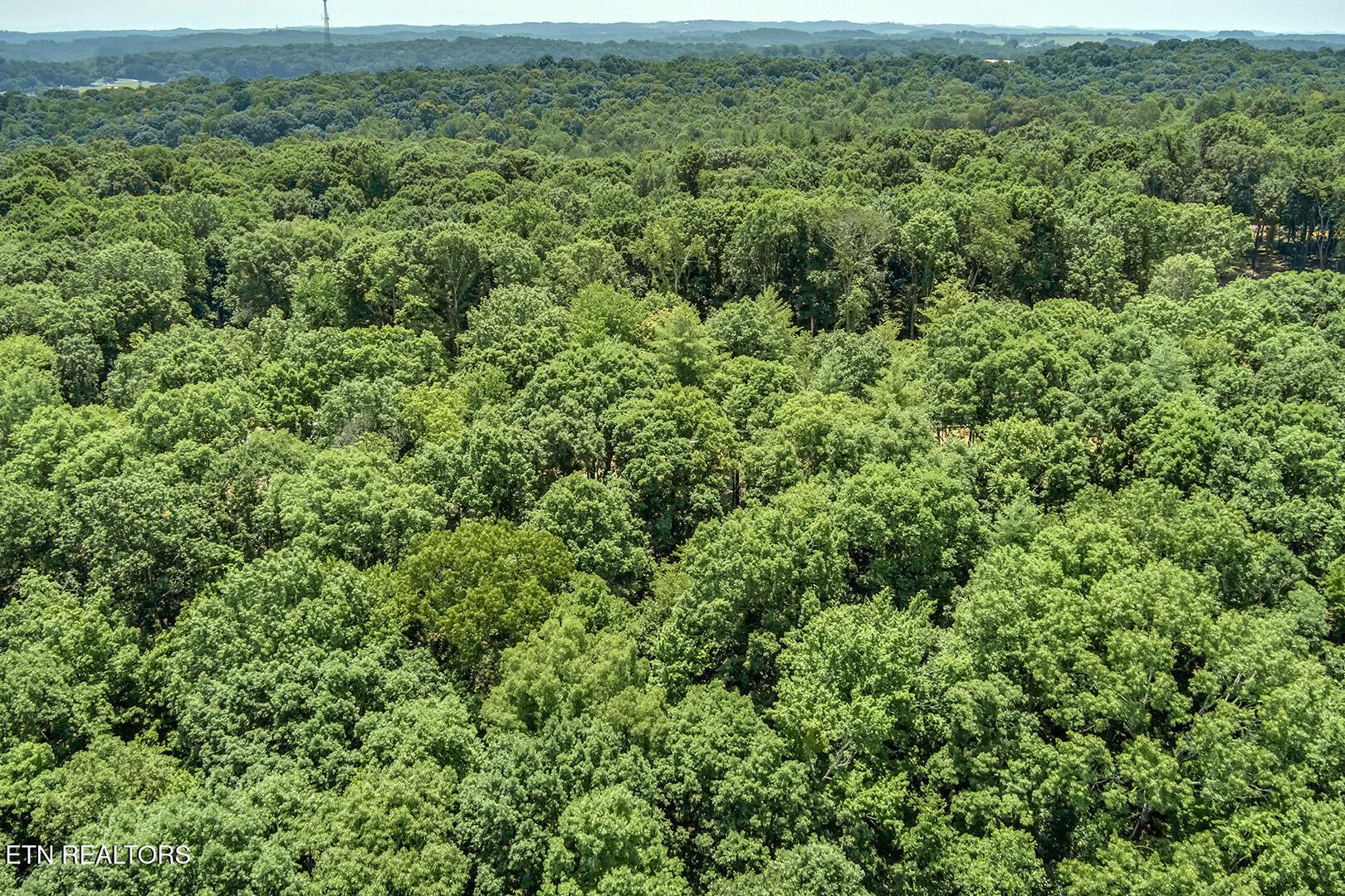 325 Flip Flop Way, Loudon, TN - Fort Loudoun and Tellico Lake Real Estate - Image# 9