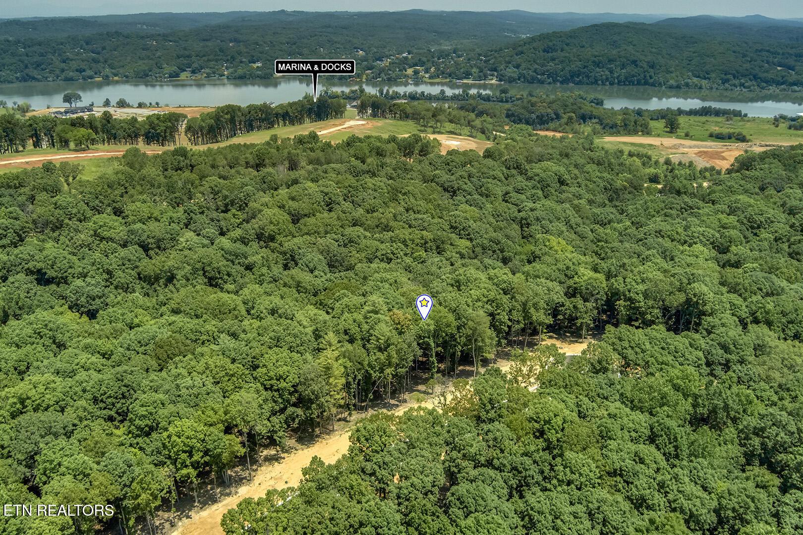 325 Flip Flop Way, Loudon, TN - Fort Loudoun and Tellico Lake Real Estate - Image# 11