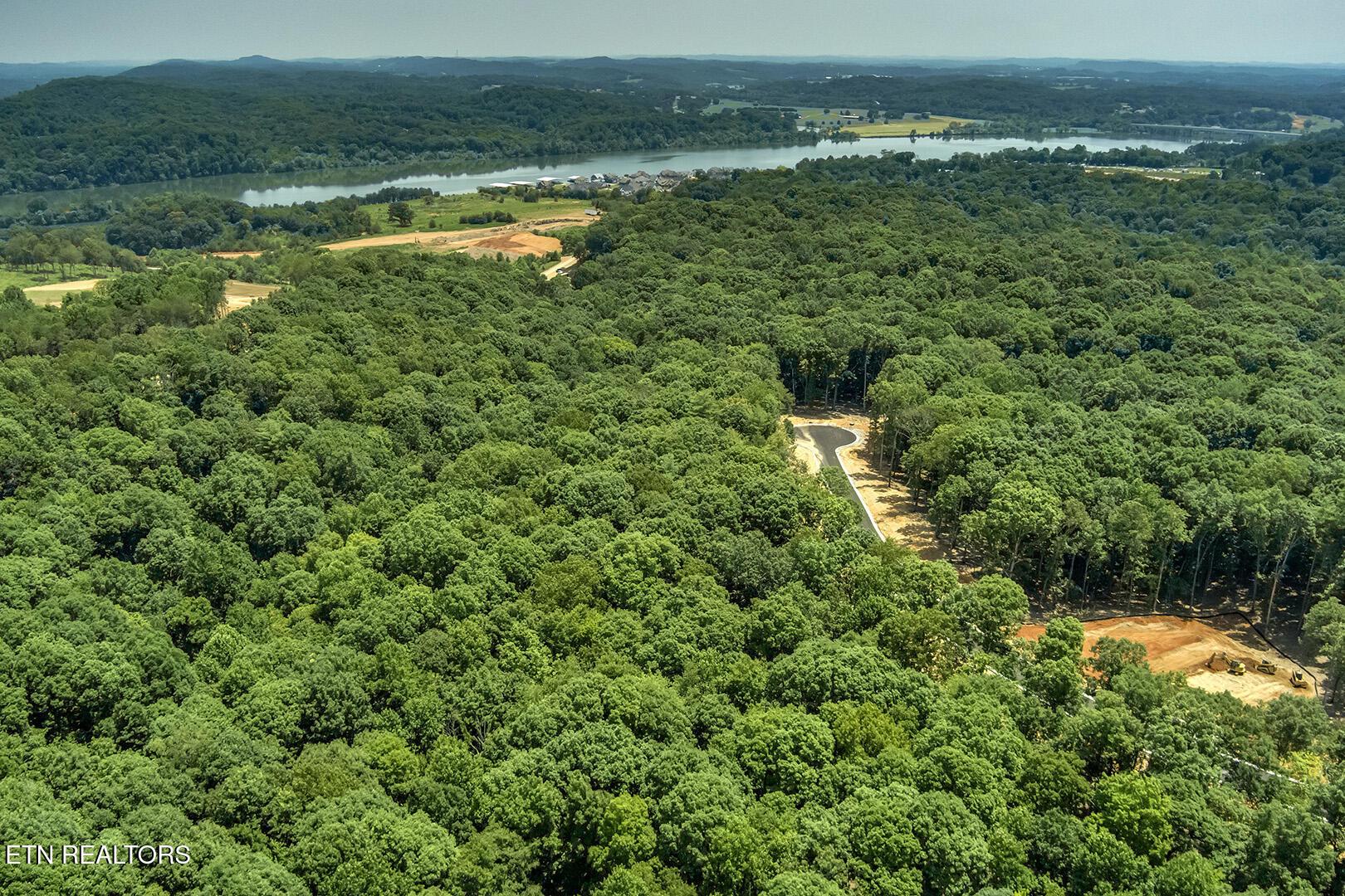 325 Flip Flop Way, Loudon, TN - Fort Loudoun and Tellico Lake Real Estate - Image# 12
