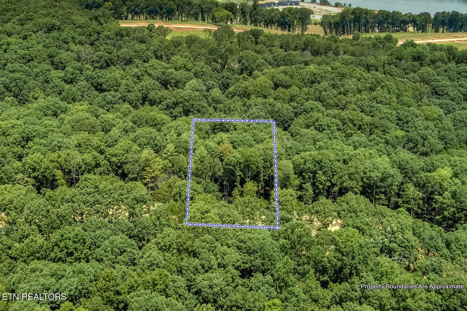 325 Flip Flop Way, Loudon, TN - Fort Loudoun and Tellico Lake Real Estate - Image# 13