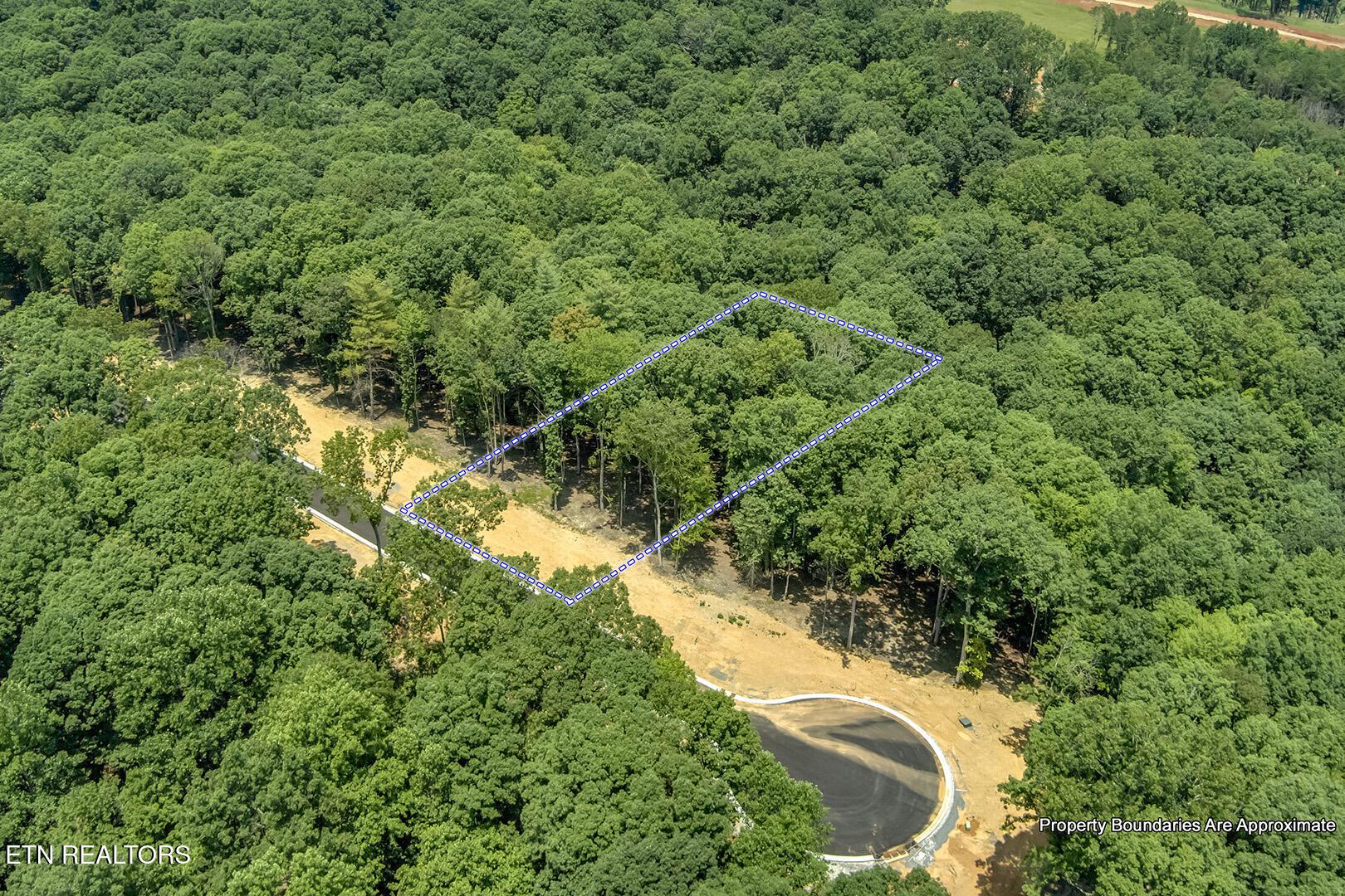 325 Flip Flop Way, Loudon, TN - Fort Loudoun and Tellico Lake Real Estate - Image# 14
