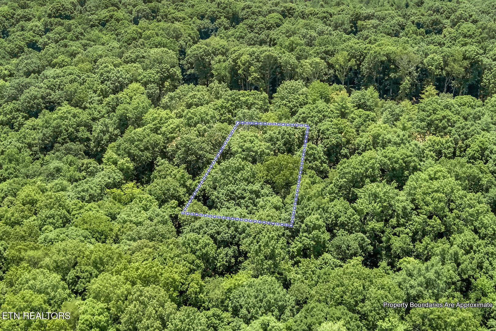 325 Flip Flop Way, Loudon, TN - Fort Loudoun and Tellico Lake Real Estate - Image# 17