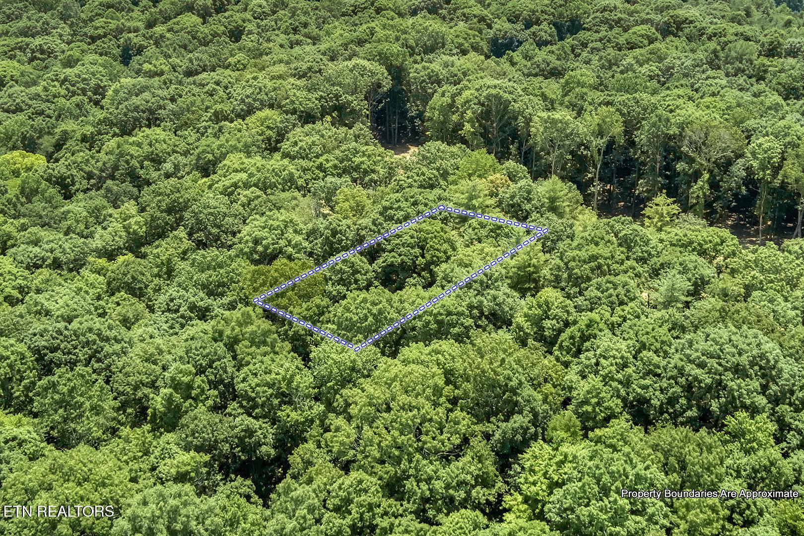 325 Flip Flop Way, Loudon, TN - Fort Loudoun and Tellico Lake Real Estate - Image# 18