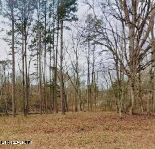 20300 Beals Chapel Rd, Lenoir City, TN - Fort Loudoun and Tellico Lake Real Estate - Image# 1