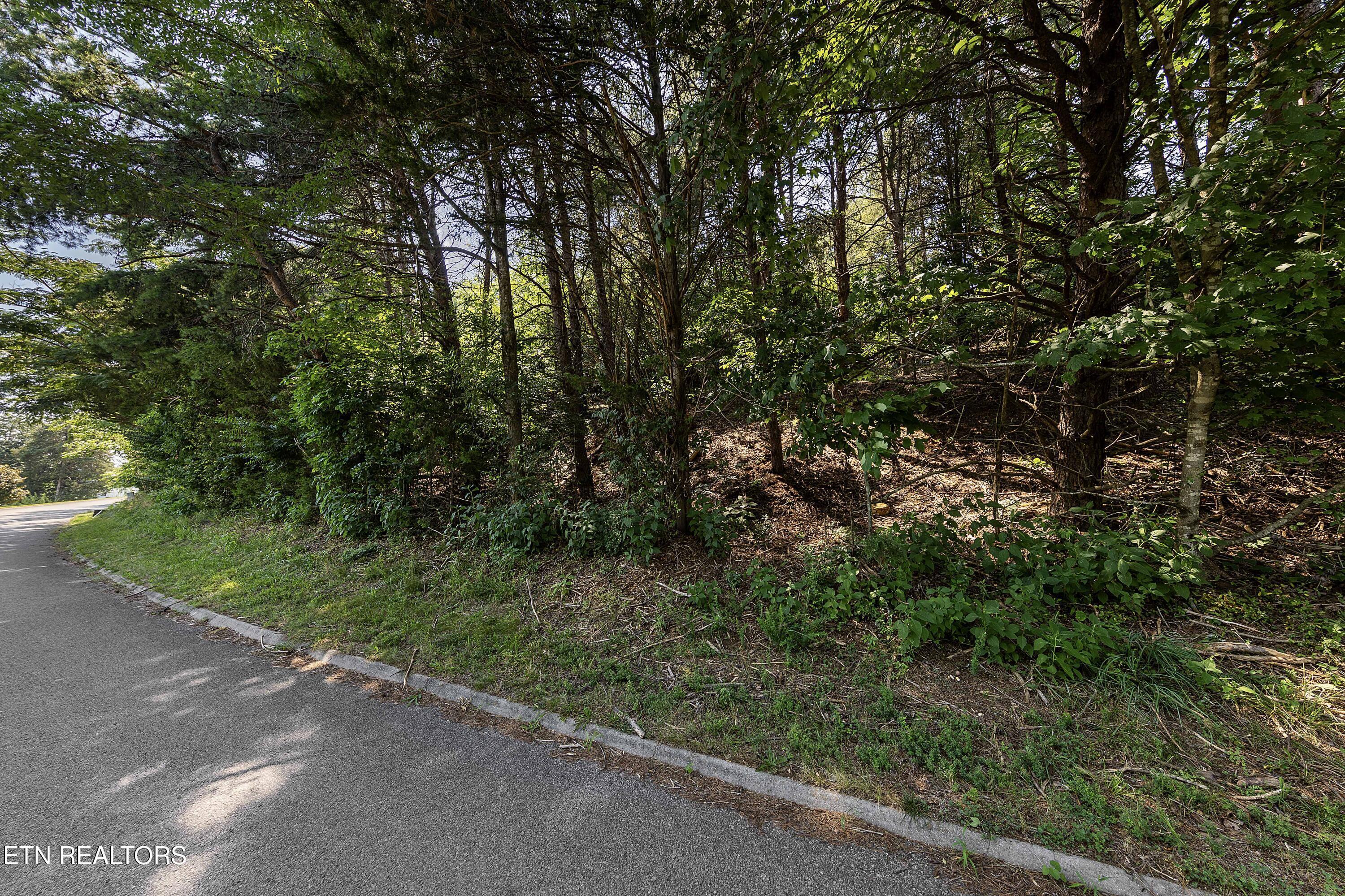 Fort Loudoun and Tellico Lake Real Estate - Image# 8