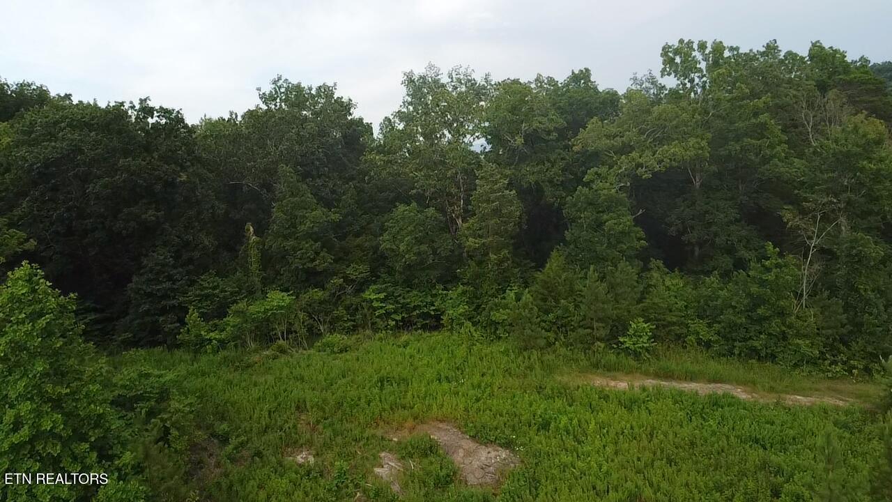 Lot 6 Three Point Rd, Vonore, TN - Fort Loudoun and Tellico Lake Real Estate - Image# 7