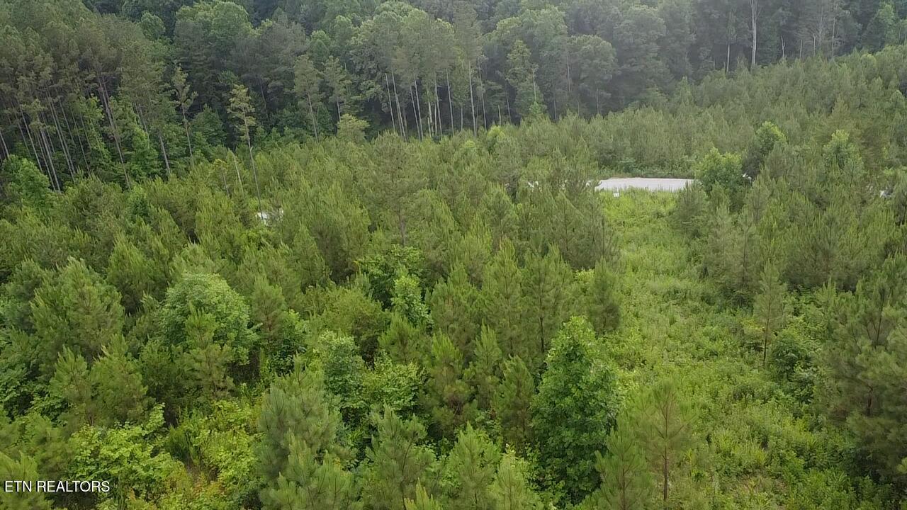 Lot 6 Three Point Rd, Vonore, TN - Fort Loudoun and Tellico Lake Real Estate - Image# 9