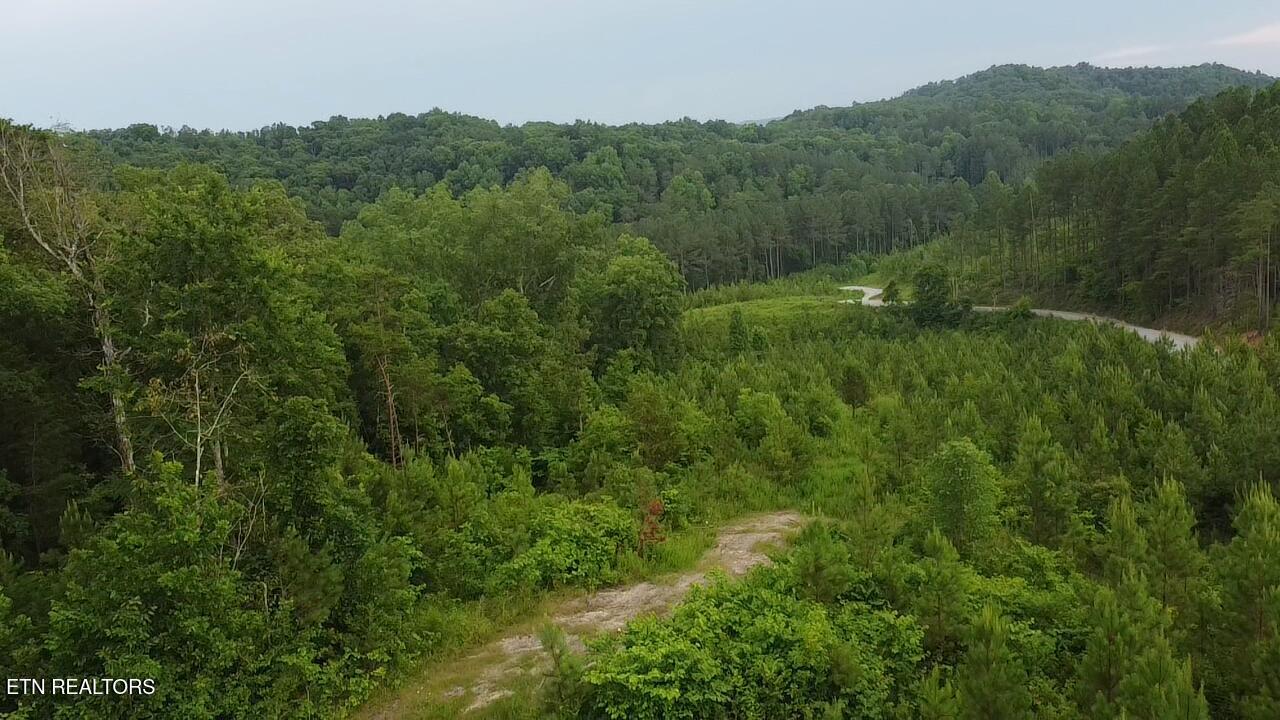 Lot 6 Three Point Rd, Vonore, TN - Fort Loudoun and Tellico Lake Real Estate - Image# 10