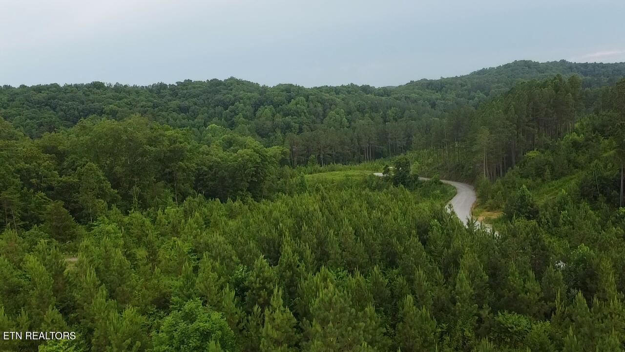 Lot 6 Three Point Rd, Vonore, TN - Fort Loudoun and Tellico Lake Real Estate - Image# 11