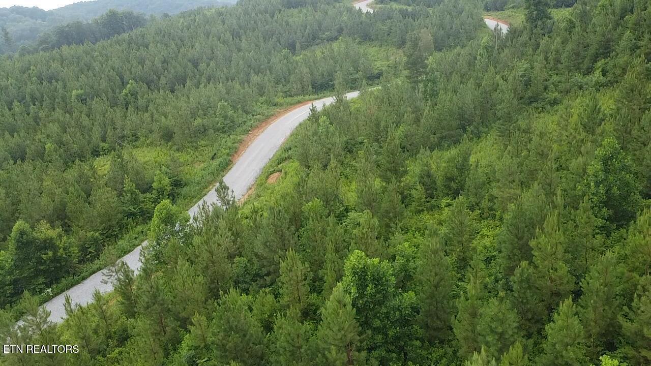 Lot 6 Three Point Rd, Vonore, TN - Fort Loudoun and Tellico Lake Real Estate - Image# 12