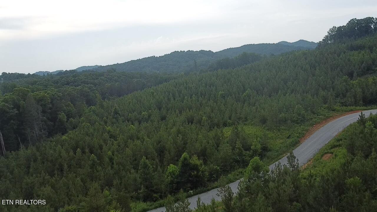 Lot 6 Three Point Rd, Vonore, TN - Fort Loudoun and Tellico Lake Real Estate - Image# 13