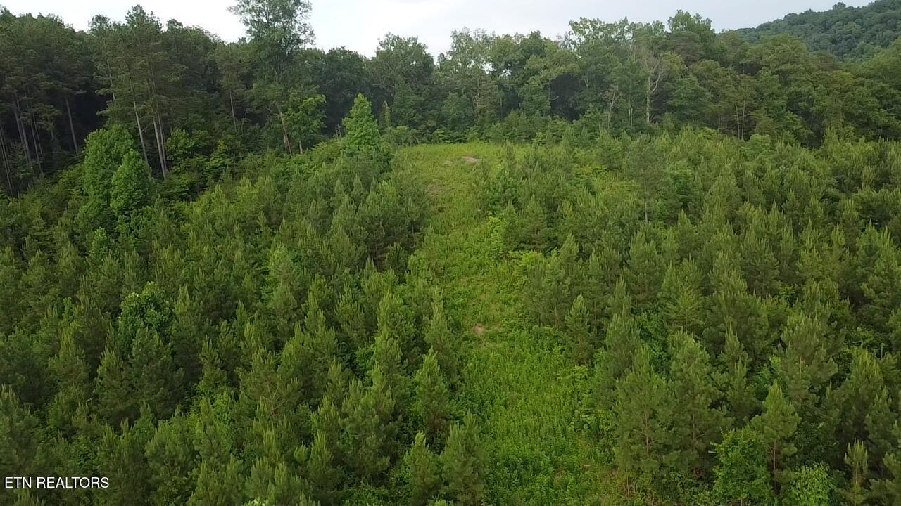 Lot 6 Three Point Rd, Vonore, TN - Fort Loudoun and Tellico Lake Real Estate - Image# 1