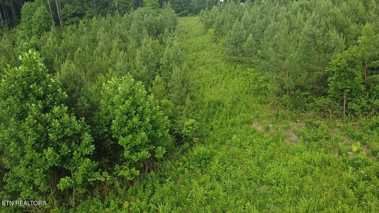 Lot 6 Three Point Rd, Vonore, TN - Fort Loudoun and Tellico Lake Real Estate - Image# 14