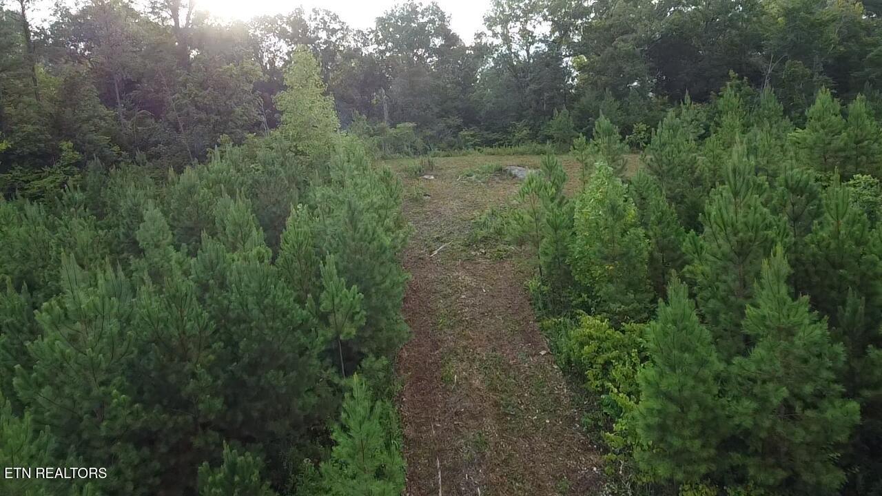 Lot 6 Three Point Rd, Vonore, TN - Fort Loudoun and Tellico Lake Real Estate - Image# 19