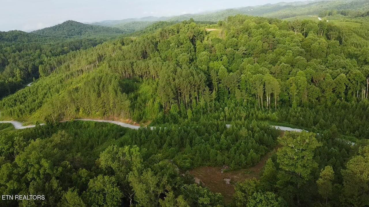 Lot 6 Three Point Rd, Vonore, TN - Fort Loudoun and Tellico Lake Real Estate - Image# 21