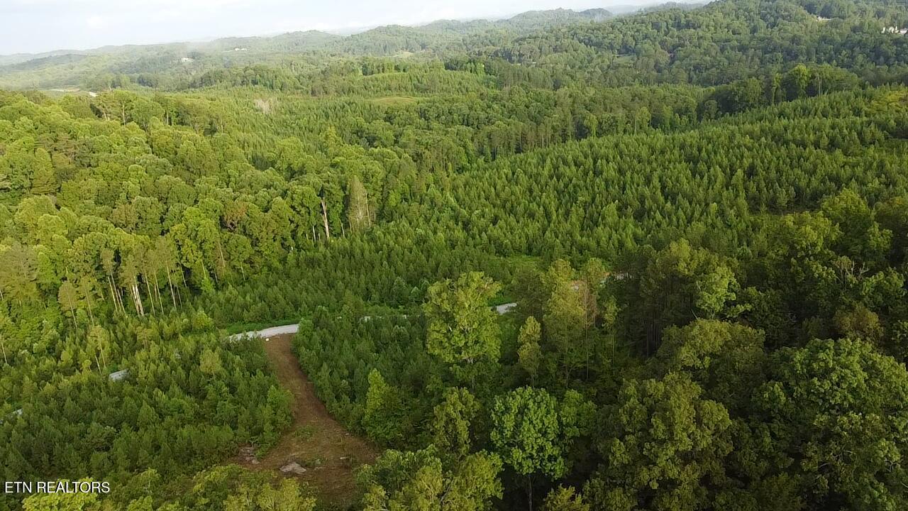 Lot 6 Three Point Rd, Vonore, TN - Fort Loudoun and Tellico Lake Real Estate - Image# 23