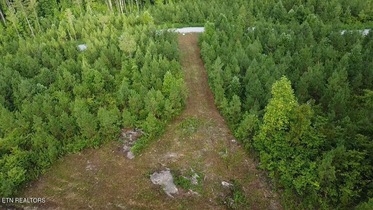 Lot 6 Three Point Rd, Vonore, TN - Fort Loudoun and Tellico Lake Real Estate - Image# 17