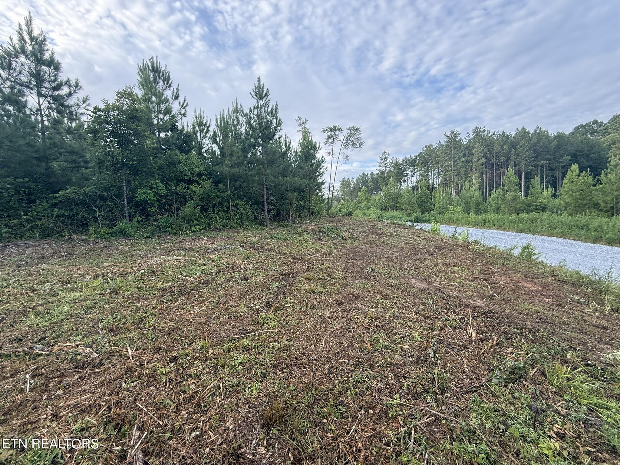 Lot 6 Three Point Rd, Vonore, TN - Fort Loudoun and Tellico Lake Real Estate - Image# 6