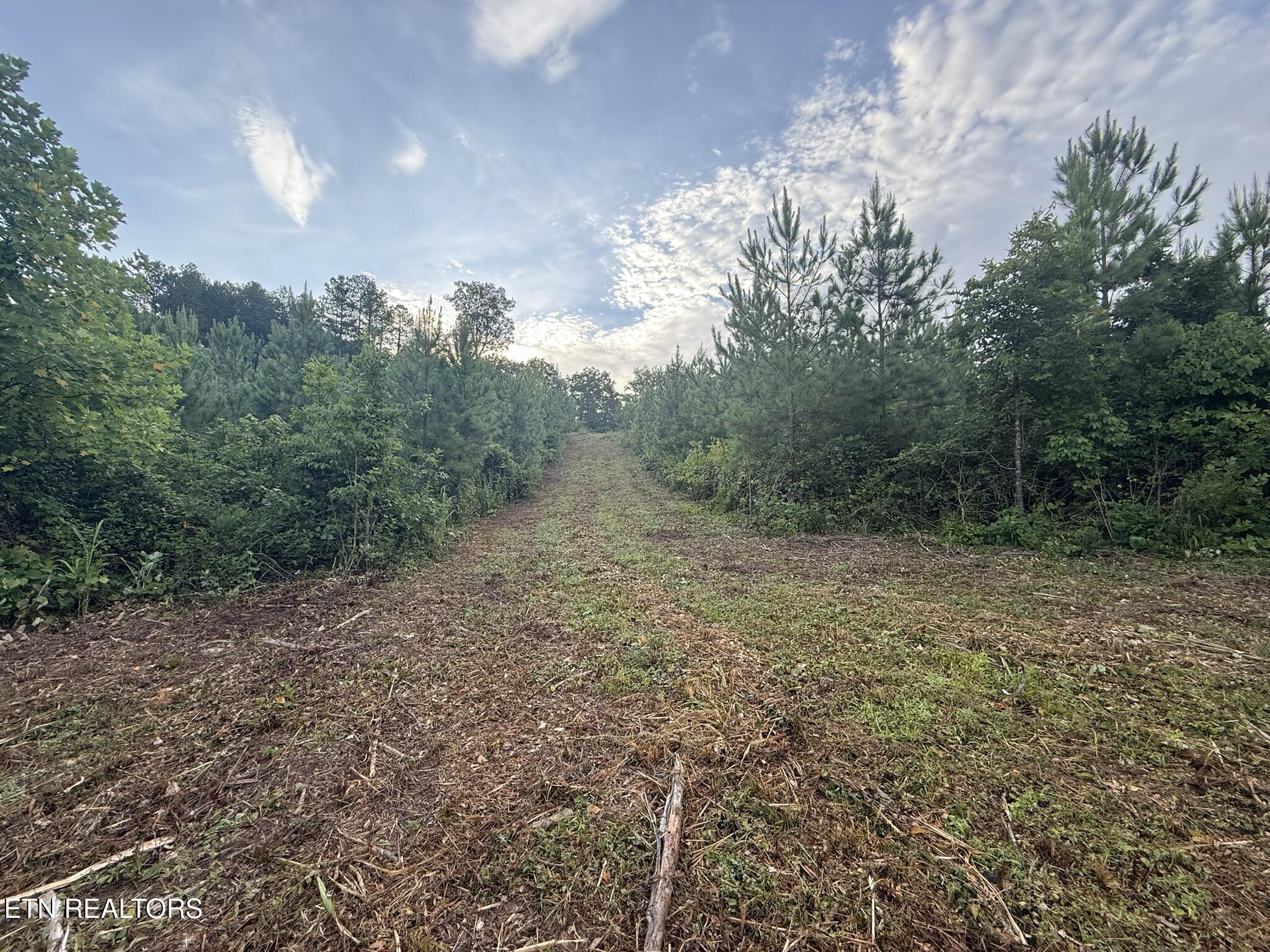 Lot 6 Three Point Rd, Vonore, TN - Fort Loudoun and Tellico Lake Real Estate - Image# 2