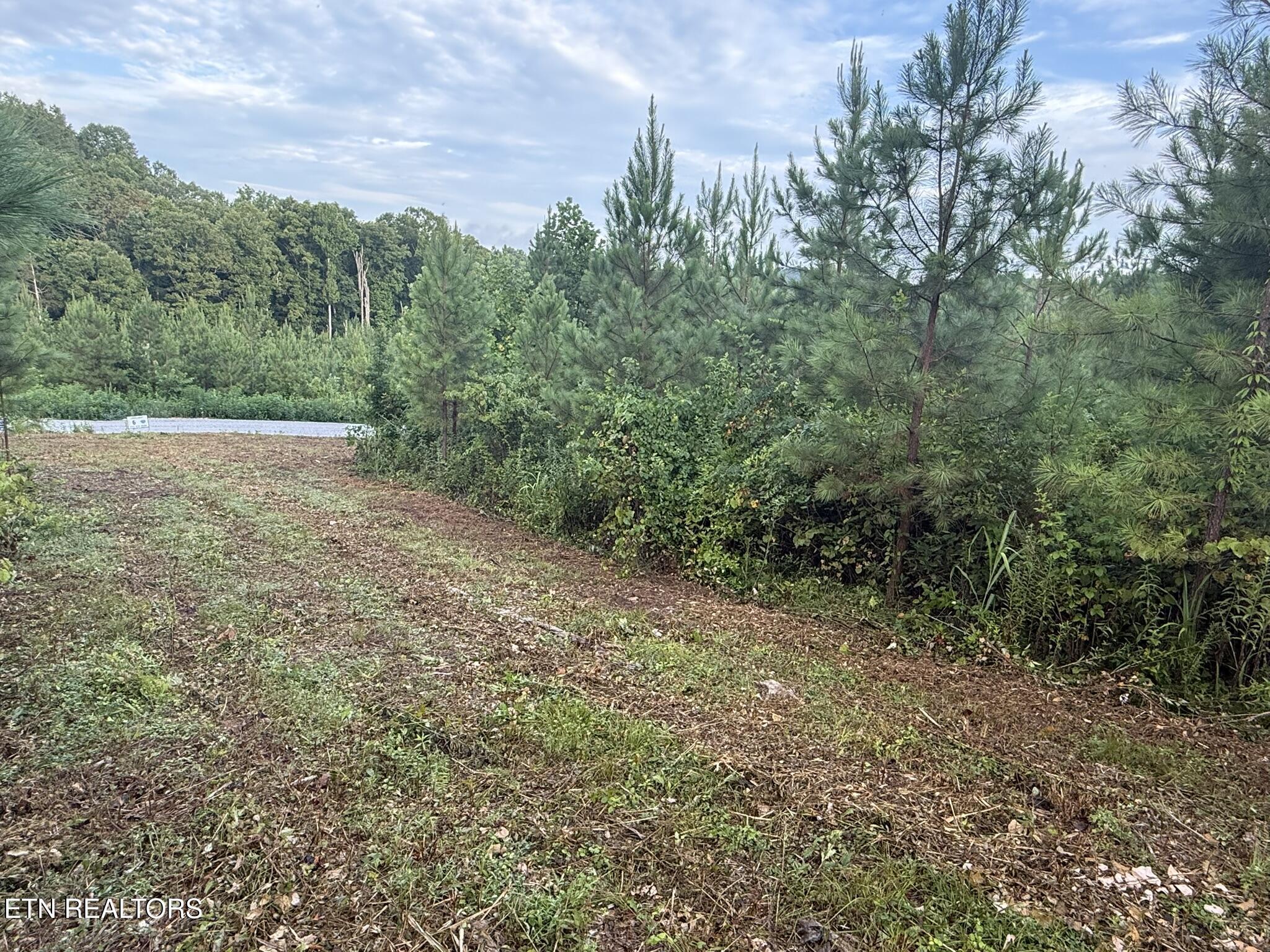 Lot 6 Three Point Rd, Vonore, TN - Fort Loudoun and Tellico Lake Real Estate - Image# 4