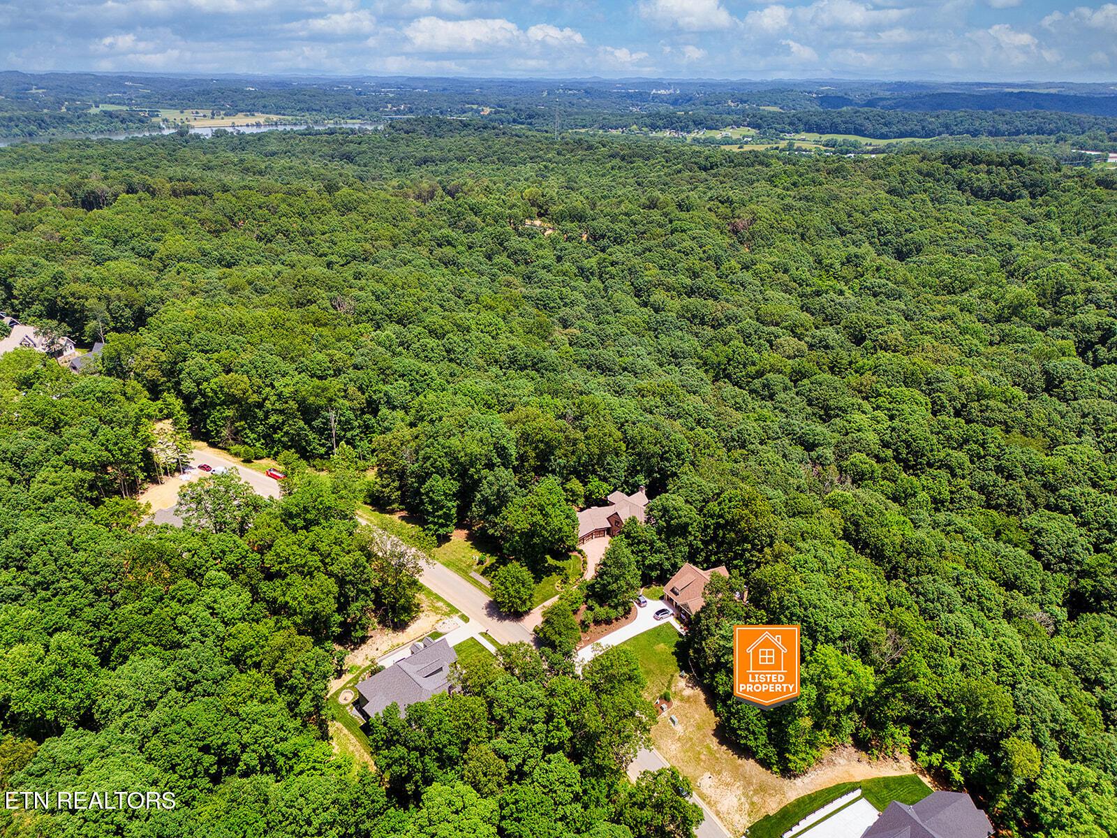 Fort Loudoun and Tellico Lake Real Estate - Image# 7