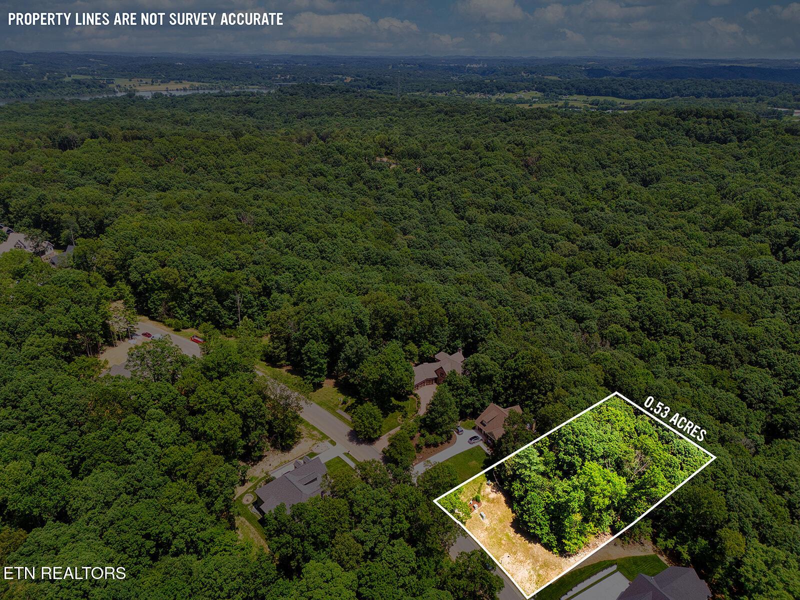 Fort Loudoun and Tellico Lake Real Estate - Image# 8
