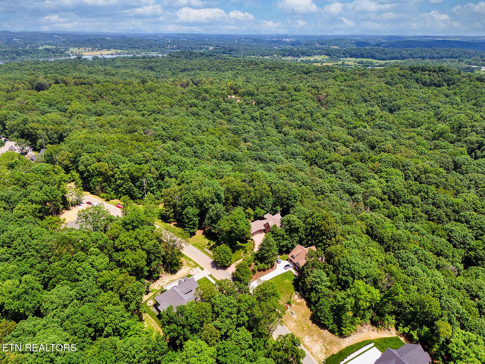 Fort Loudoun and Tellico Lake Real Estate - Image# 9