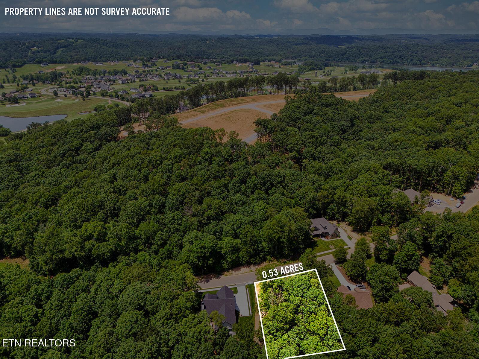 Fort Loudoun and Tellico Lake Real Estate - Image# 11