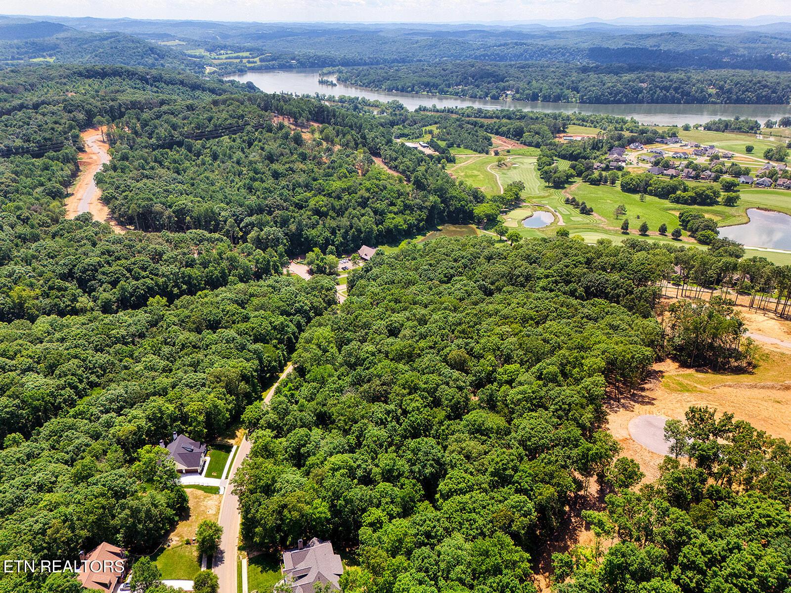 Fort Loudoun and Tellico Lake Real Estate - Image# 16