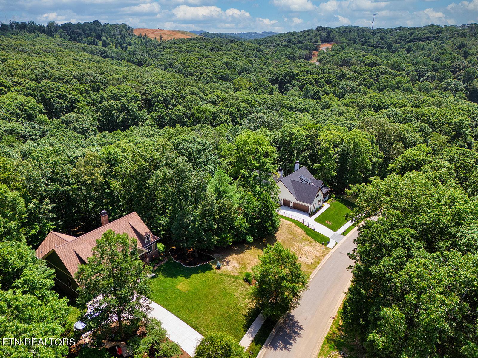 Fort Loudoun and Tellico Lake Real Estate - Image# 17