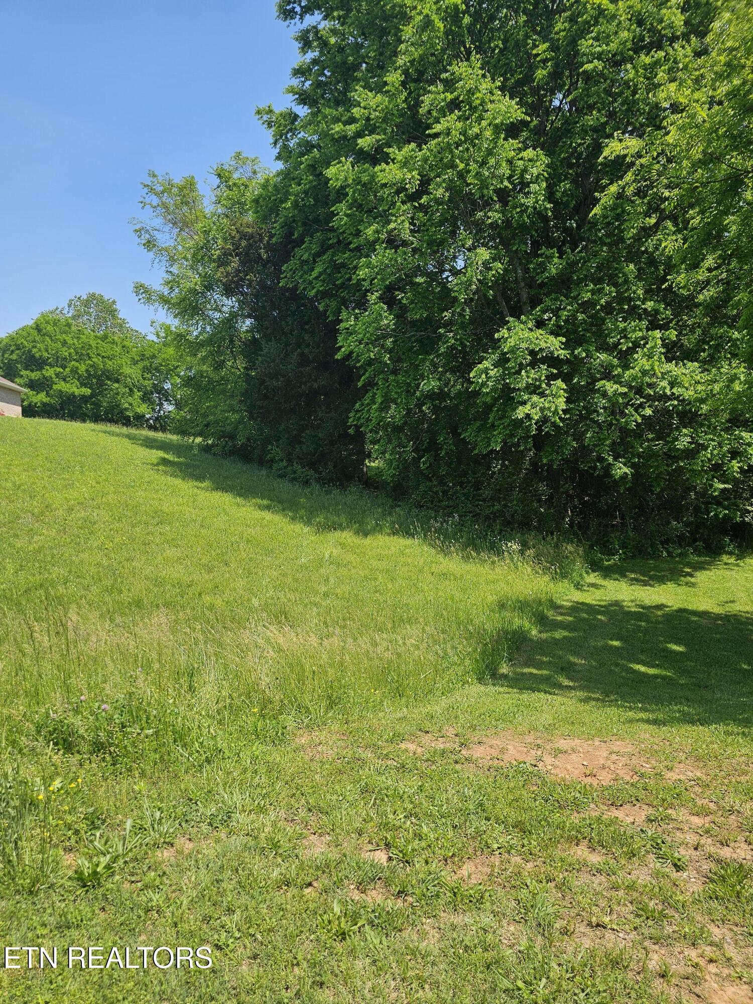 Fort Loudoun and Tellico Lake Real Estate - Image# 1
