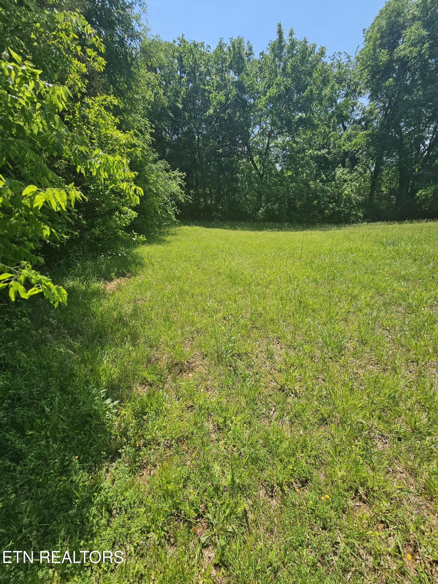 Fort Loudoun and Tellico Lake Real Estate - Image# 3