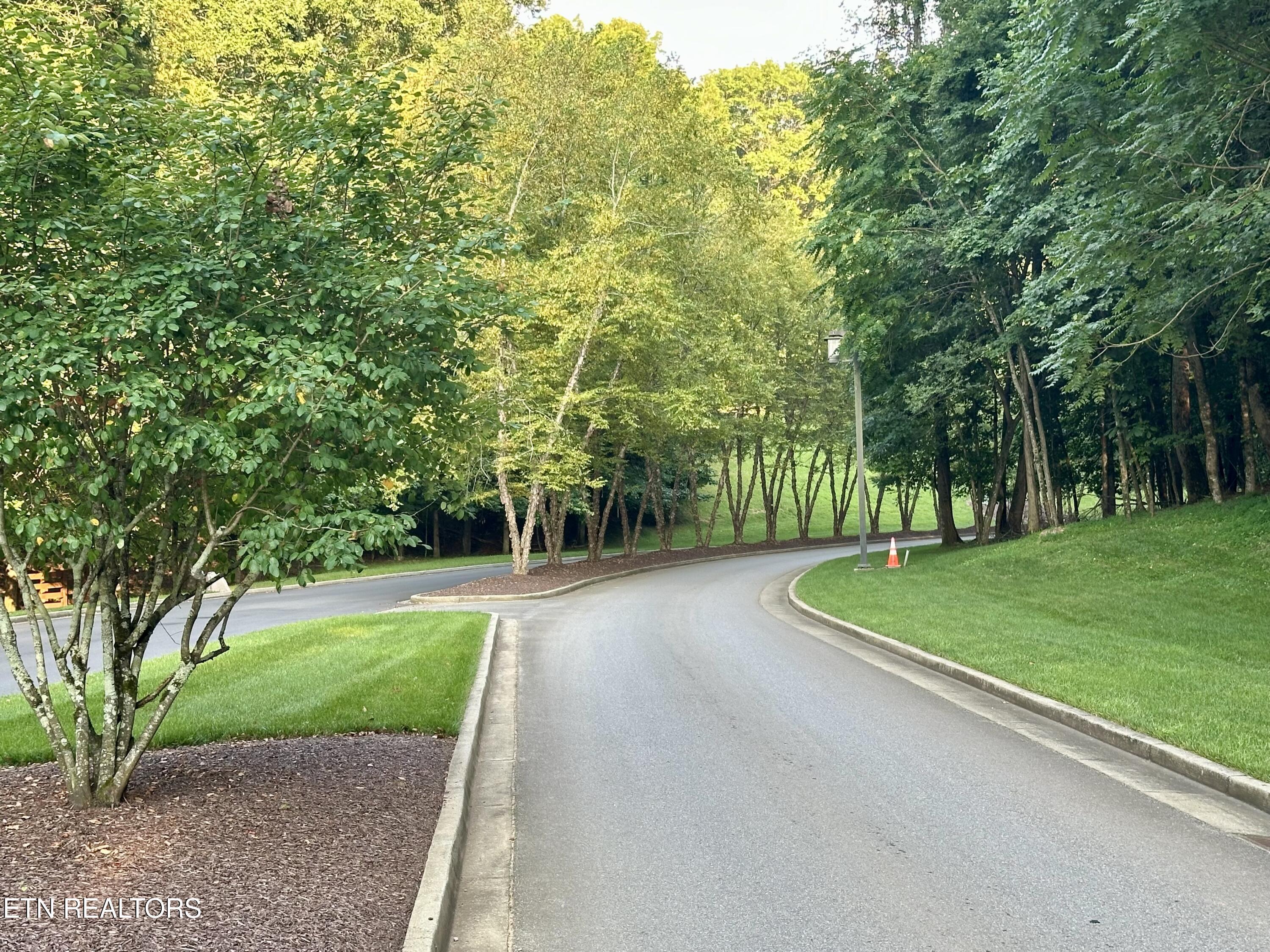 551 Firefly Drive, Loudon, TN - Fort Loudoun and Tellico Lake Real Estate - Image# 2