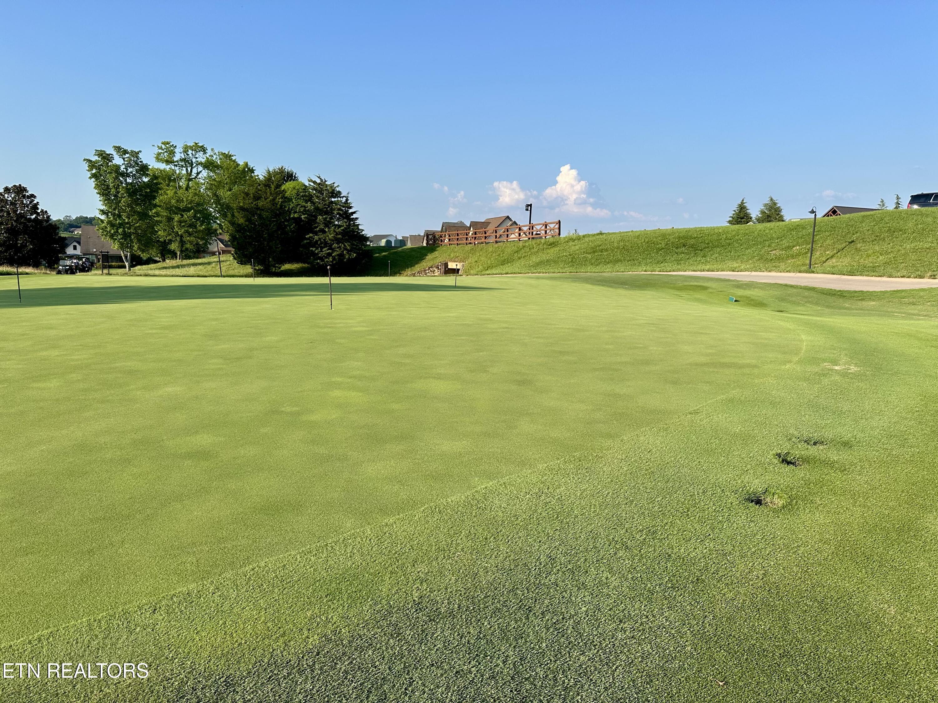 551 Firefly Drive, Loudon, TN - Fort Loudoun and Tellico Lake Real Estate - Image# 53