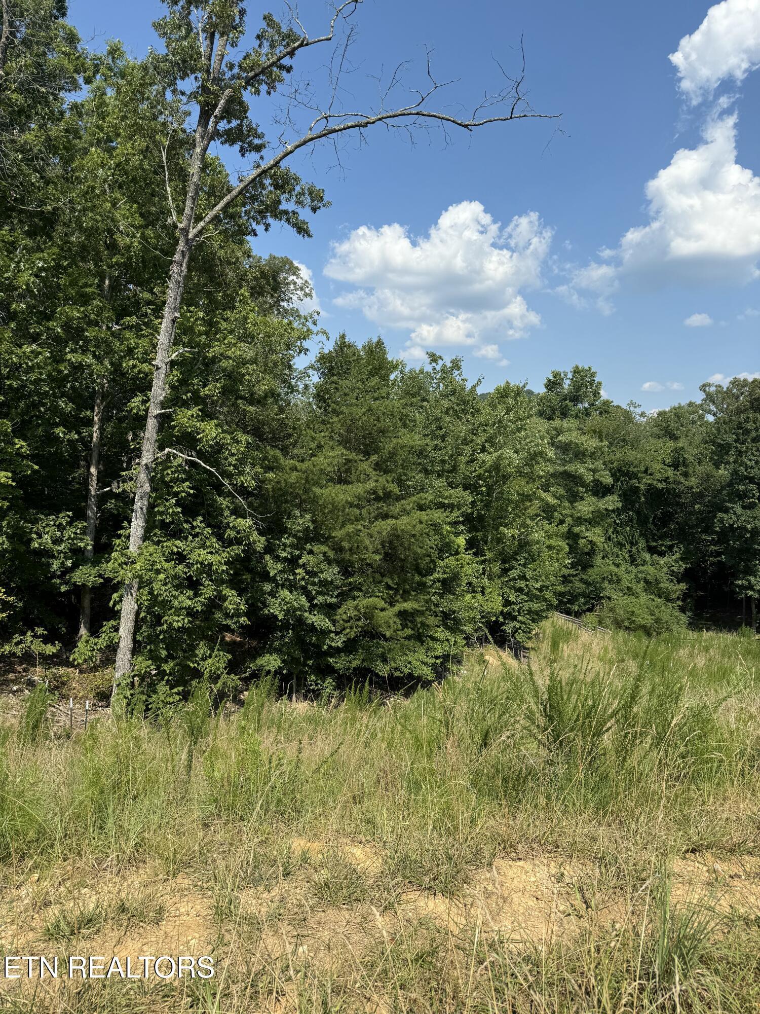 Fort Loudoun and Tellico Lake Real Estate - Image# 4