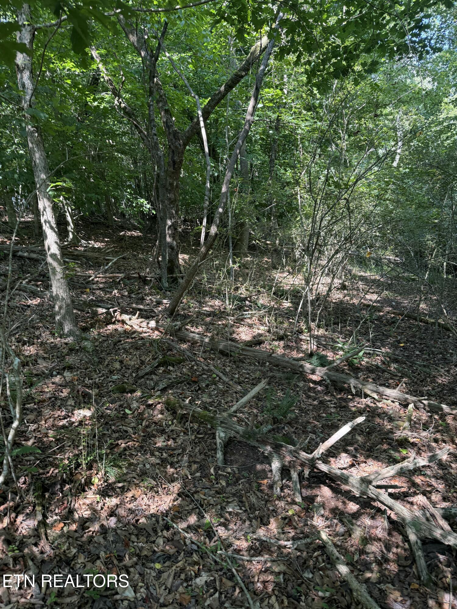 Fort Loudoun and Tellico Lake Real Estate - Image# 3