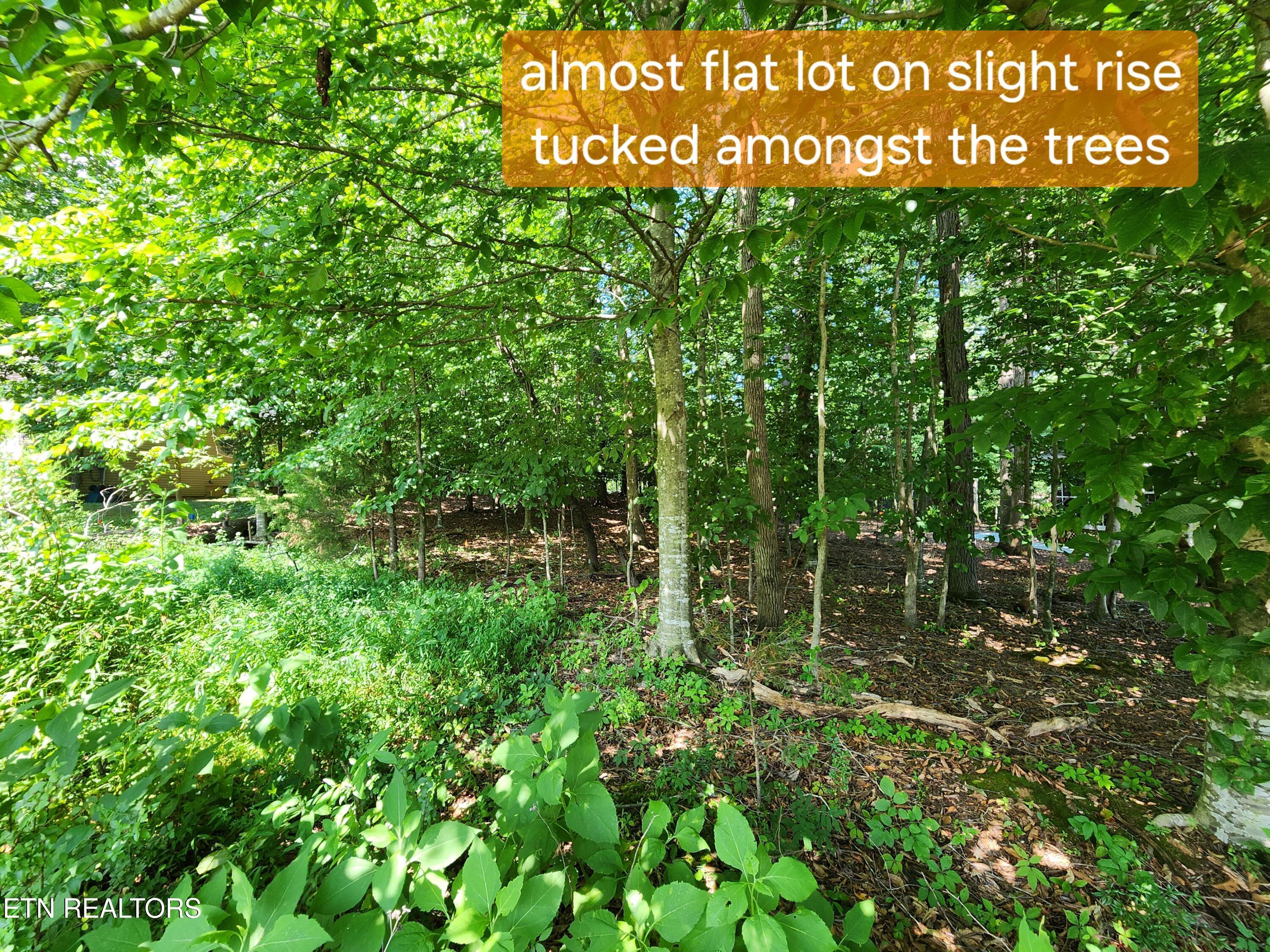 Fort Loudoun and Tellico Lake Real Estate - Image# 2
