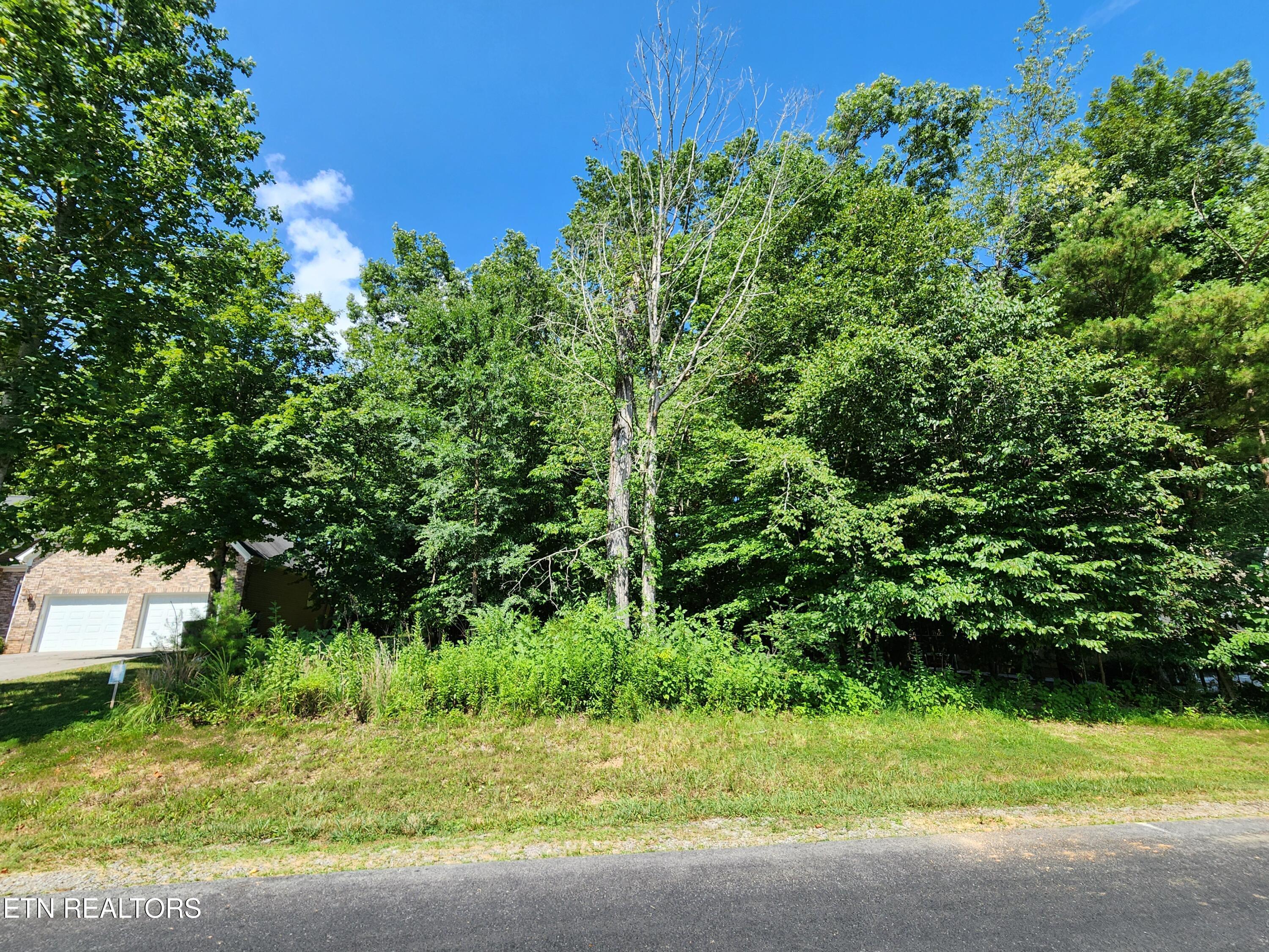 Fort Loudoun and Tellico Lake Real Estate - Image# 1