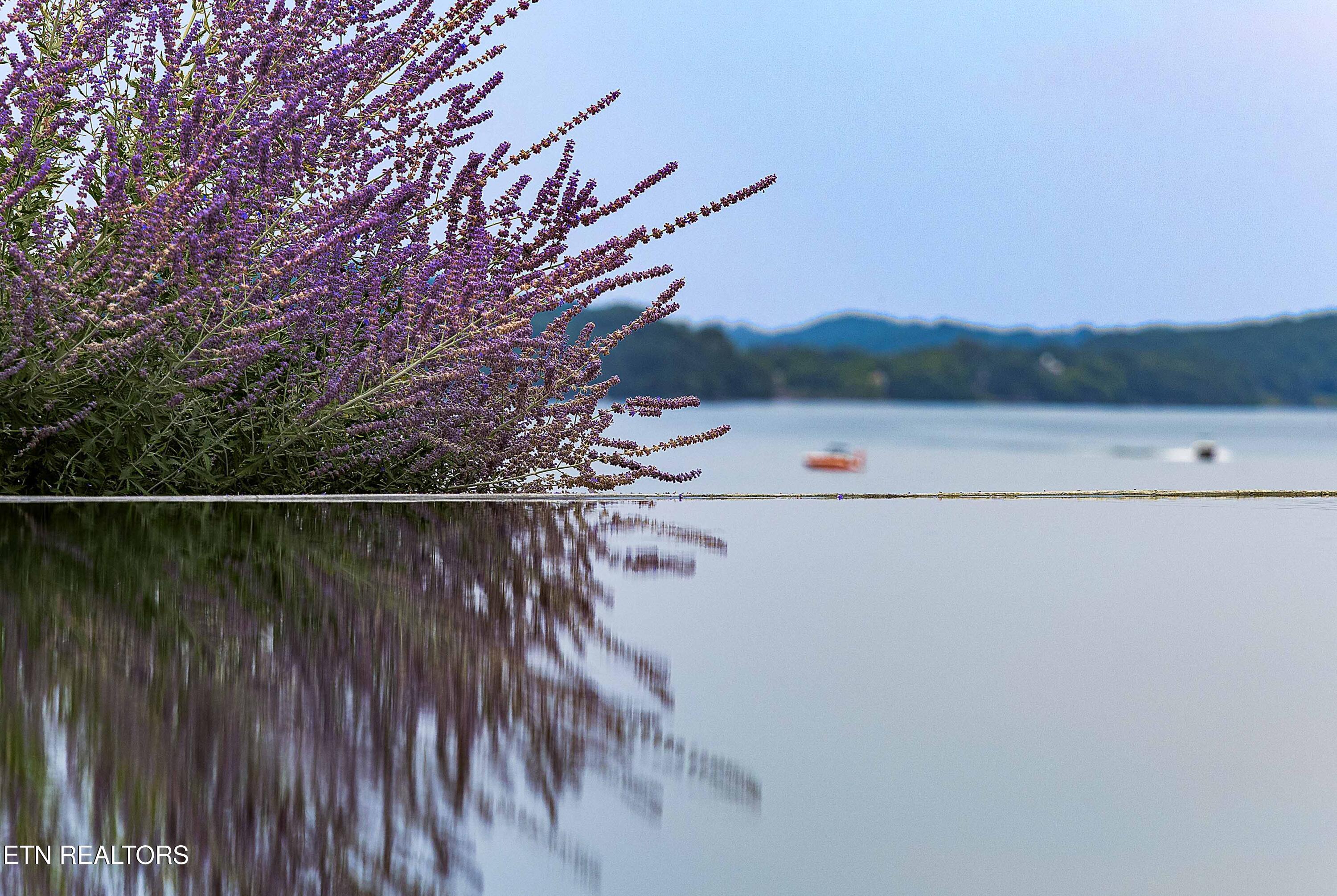Fort Loudoun and Tellico Lake Real Estate - Image# 46
