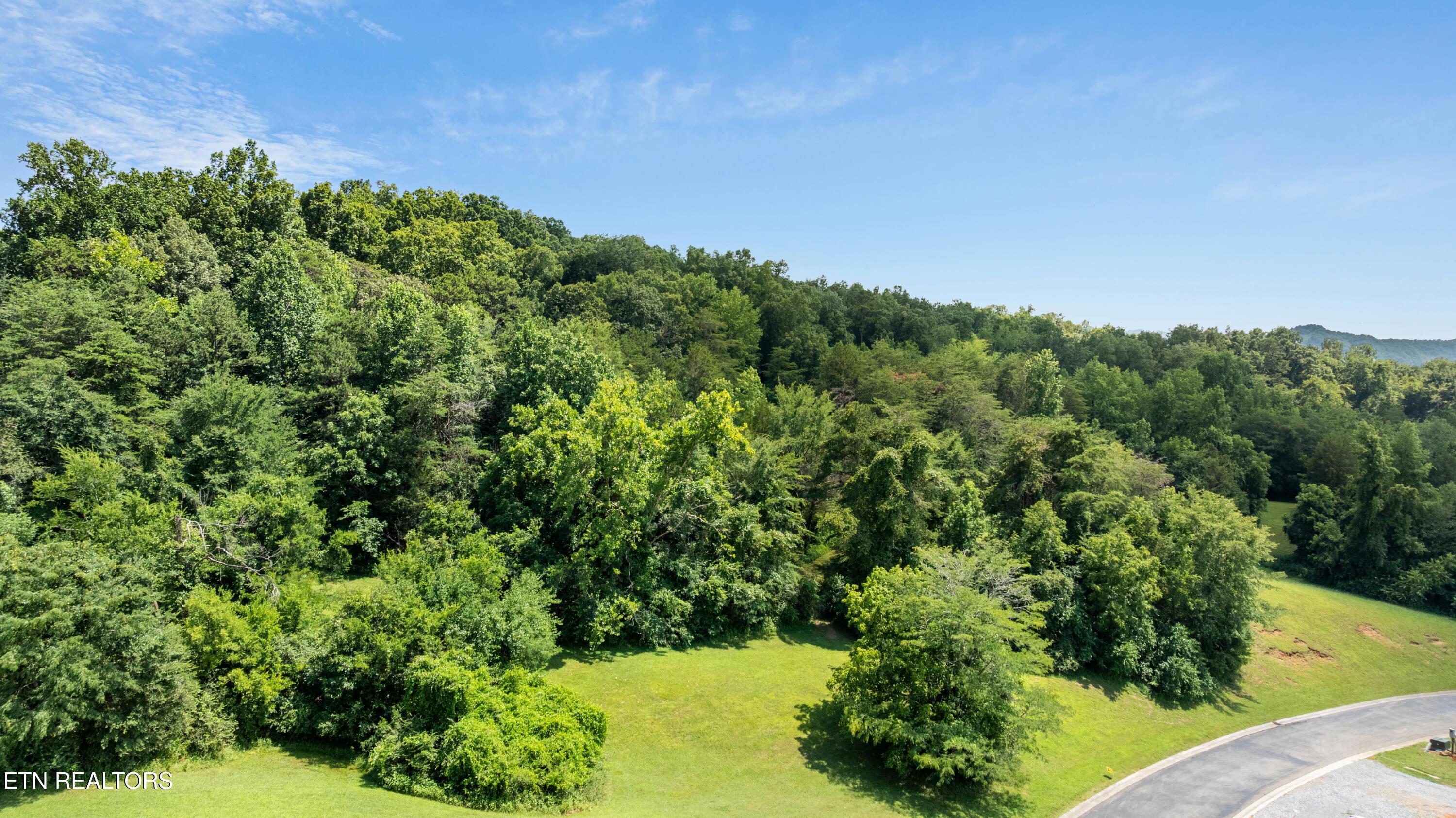 Fort Loudoun and Tellico Lake Real Estate - Image# 5