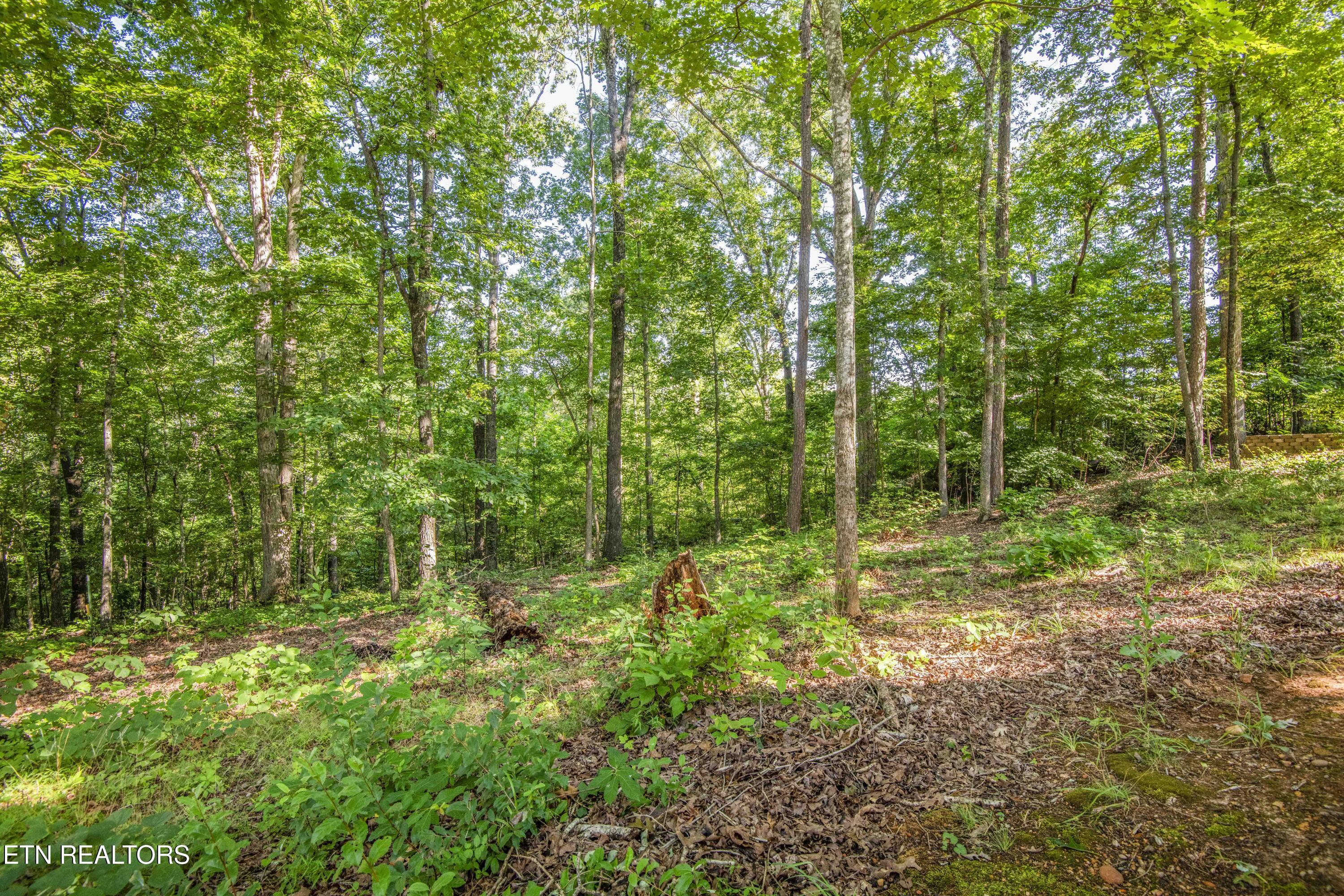 Fort Loudoun and Tellico Lake Real Estate - Image# 35