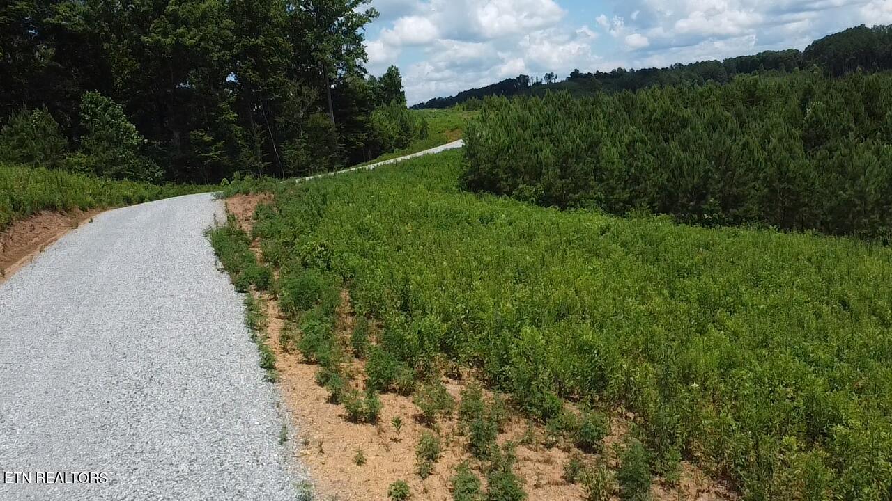 Fort Loudoun and Tellico Lake Real Estate - Image# 1