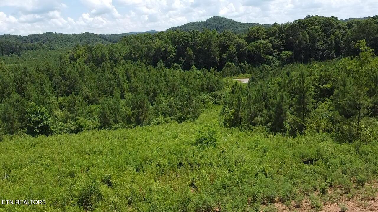Fort Loudoun and Tellico Lake Real Estate - Image# 2